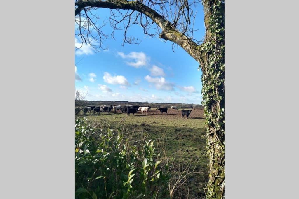 נארברת' Milking Shed Cottage מראה חיצוני תמונה